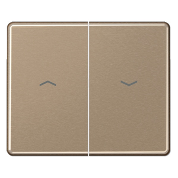 Клавиша 2-ая Jung LS для жалюзийного выключателя/кнопок Золотая бронза