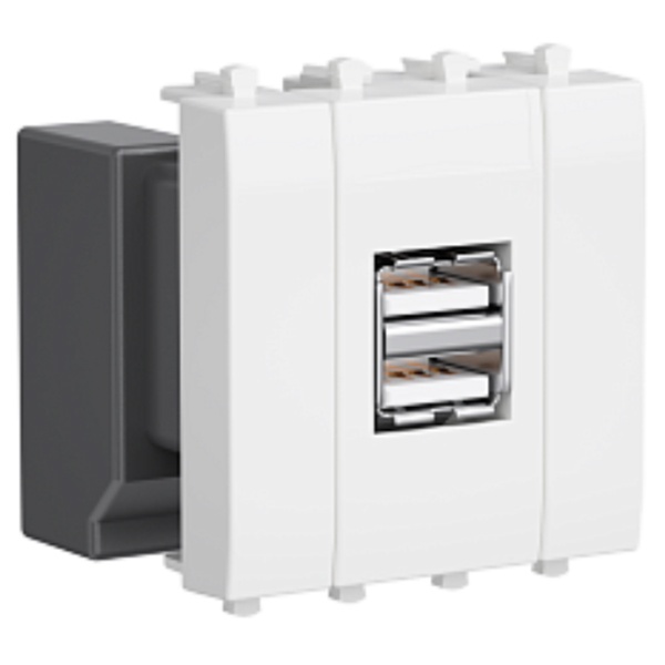 Зарядное устройство DKC Avanti USB модульное 5В21А 2 модуля белое облако