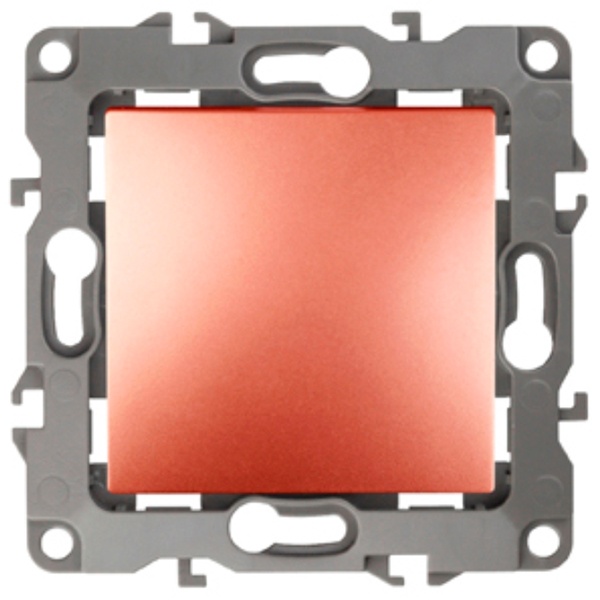 Выключатель ЭРА 10АХ-250В IP20 12, медь 12-1101-14