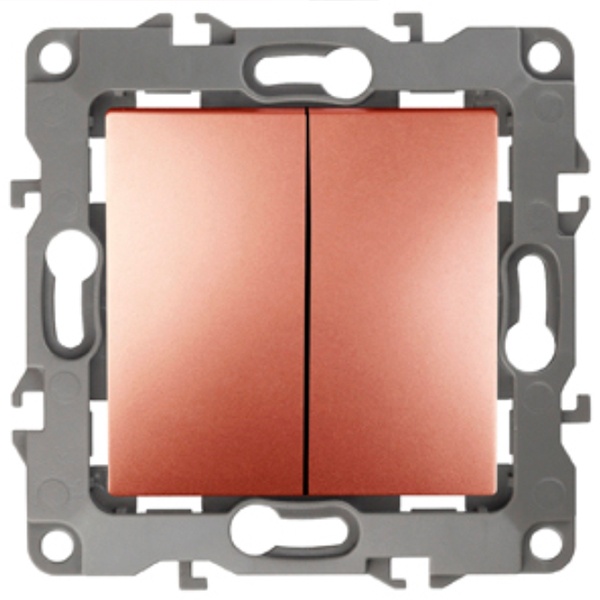 Выключатель двойной ЭРА 10АХ-250В IP20 без лапок 12, медь 12-1004-14