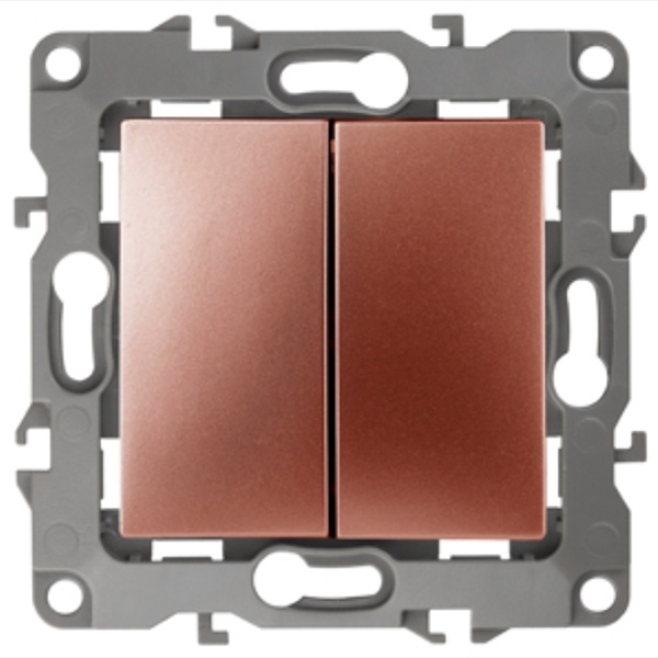 Переключатель двойной ЭРА 10АХ-250В IP20 12, медь 12-1106-14