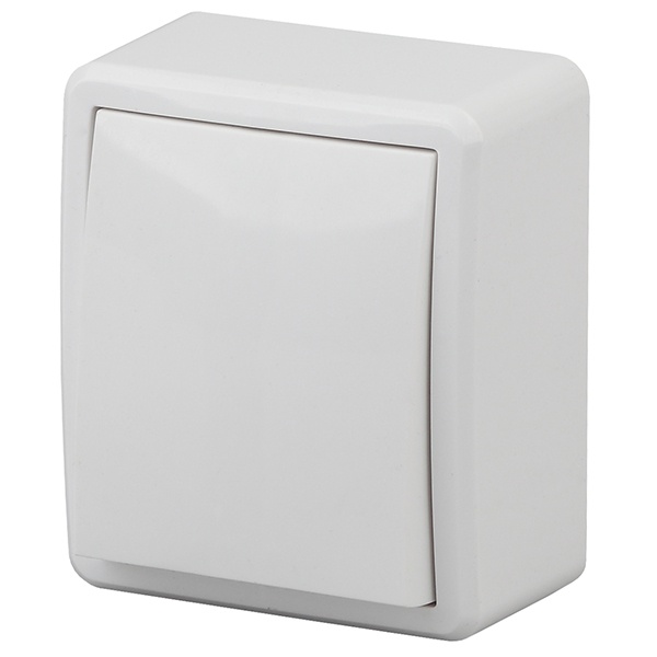 Накладной выключатель одноклавишный ЭРА Эксперт 10АХ-250В IP20 белый 11-1201-01