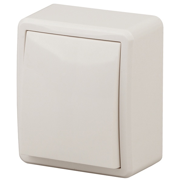 Накладной выключатель одноклавишный ЭРА Эксперт 10АХ-250В IP20 слоновая кость 11-1201-02 (бежевый)