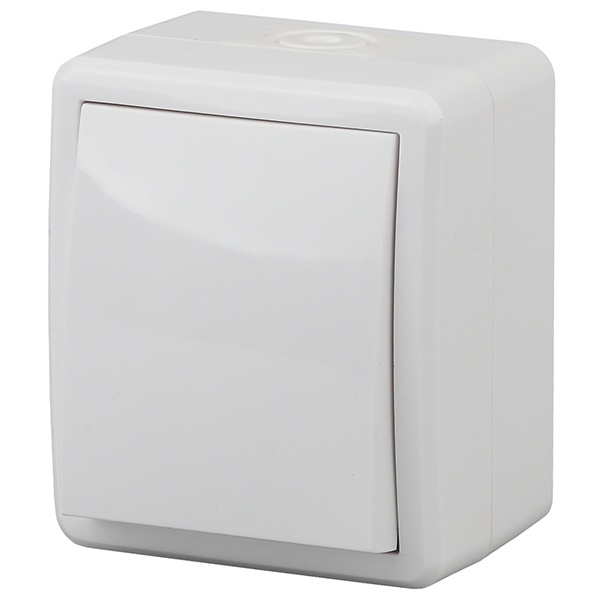 Переключатель ЭРА Эксперт 10АХ-250В открытой установки IP54 белый 11-1403-01