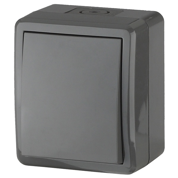 Выключатель ЭРА Эксперт 10АХ-250В открытой установки IP54 серый 11-1401-03