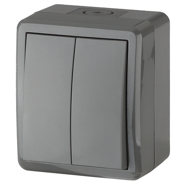 Выключатель двойной ЭРА Эксперт 10АХ-250В открытой установки IP54 серый 11-1404-03