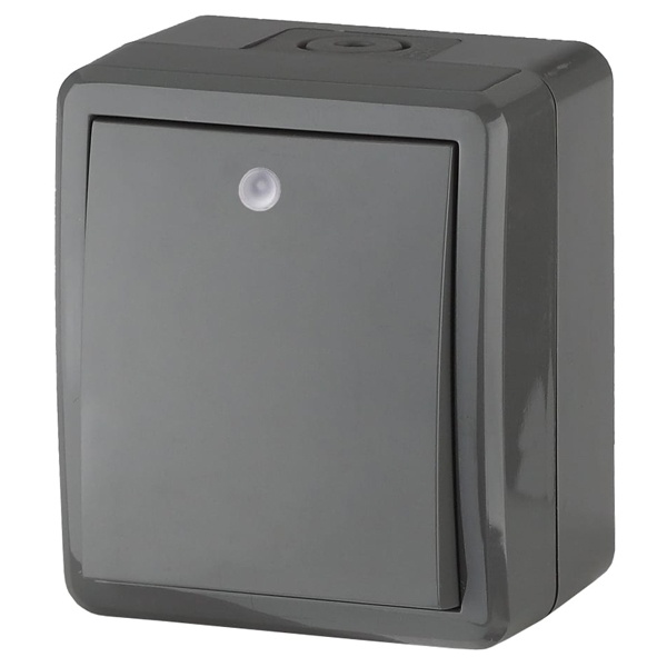 Выключатель с подсветкой ЭРА Эксперт 10АХ-250В открытой установки IP54 серый 11-1402-03