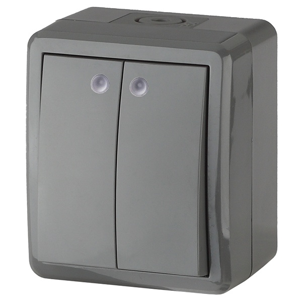 Выключатель двойной с подсветкой ЭРА Эксперт 10АХ-250В открытой установки IP54 серый 11-1405-03