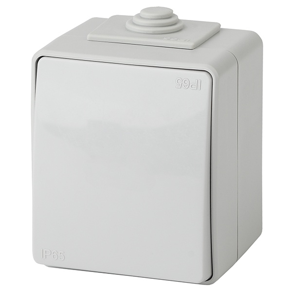 Выключатель открытой установки ЭРА Эксперт 11-1601-03 IP65 серый