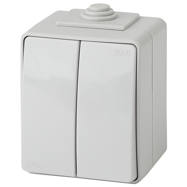 Переключатель двойной открытой установки ЭРА Эксперт 11-1606-03 IP65 серый