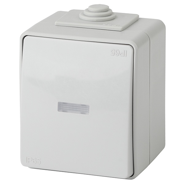 Выключатель с подсветкой открытой установки ЭРА Эксперт 11-1602-03 IP65 серый