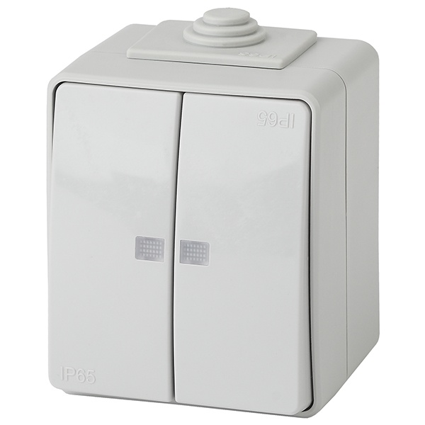 Выключатель двойной с подсветкой открытой установки ЭРА Эксперт 11-1605-03 IP65 серый