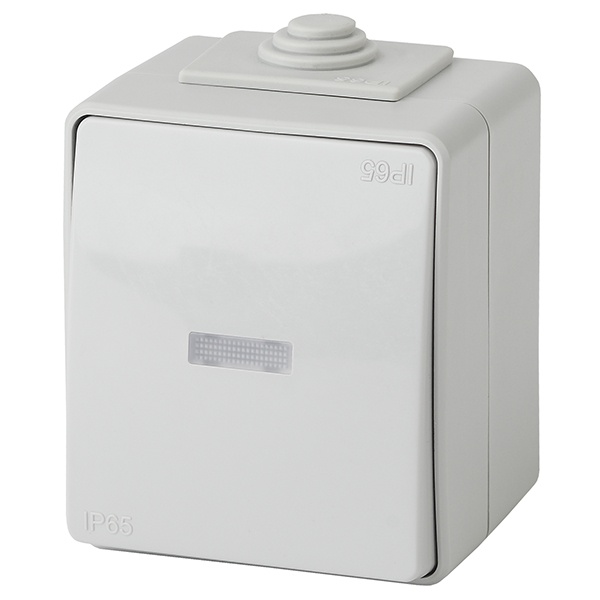 Переключатель с подсветкой открытой установки ЭРА Эксперт 11-1610-03 IP65 серый