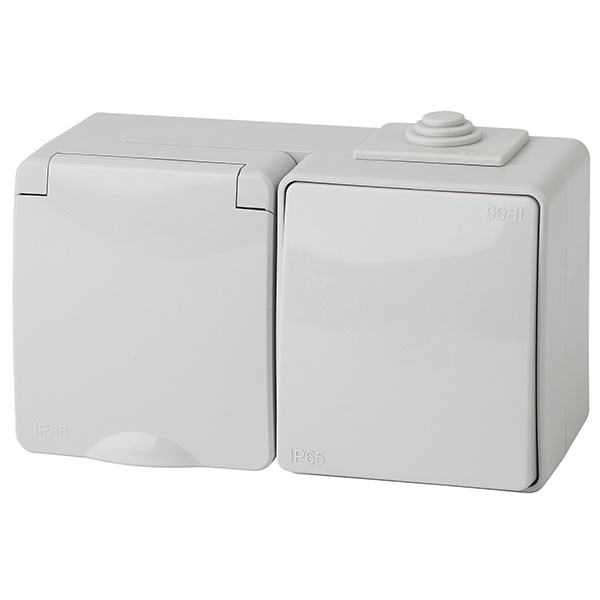 Блок ЭРА Эксперт розетка + 1-й выключатель горизонтальный открытой установки 11-7601-03 IP65 серый