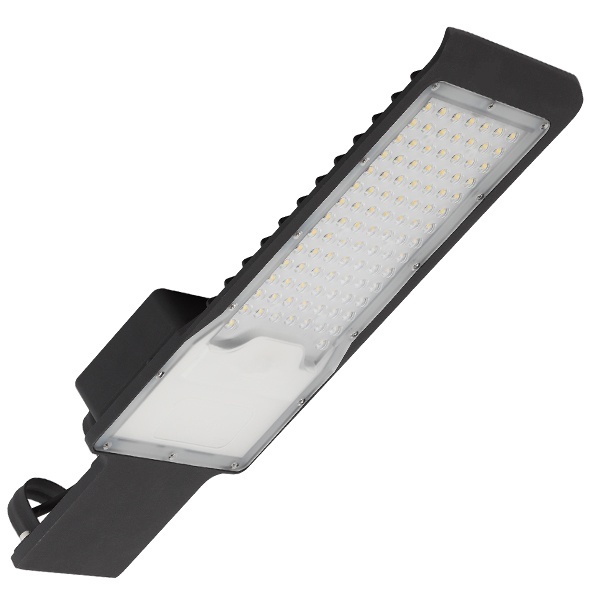 Консольный светодиодный светильник ЭРА SPP-503-0-50K-100 100W 5000K IP65 d48-50mm