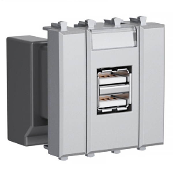 Зарядное устройство USB DKC Avanti модульное 5В,2,1А 2 модуля, закаленная сталь