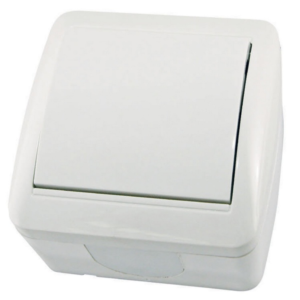 Выключатель одноклавишный TDM открытой установки Селигер 10А IP44 белый