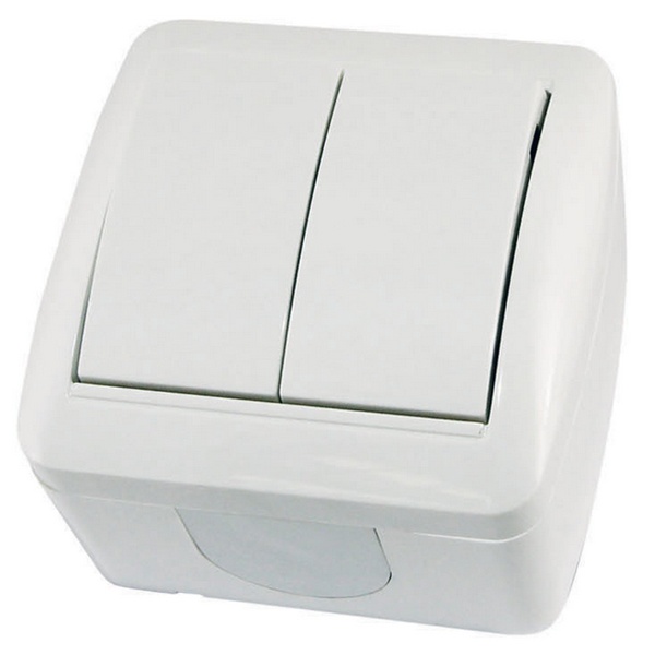 Выключатель двухклавишный TDM открытой установки Селигер 10А IP44 белый