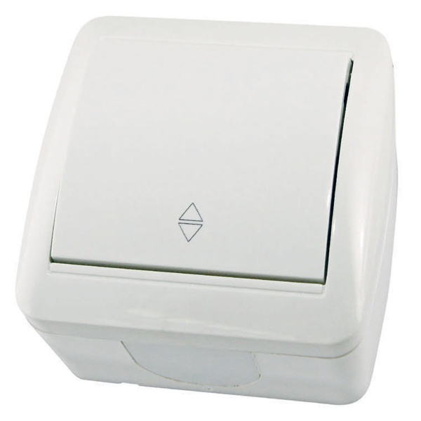 Переключатель одноклавишный TDM открытой установки Селигер 10А IP44 белый