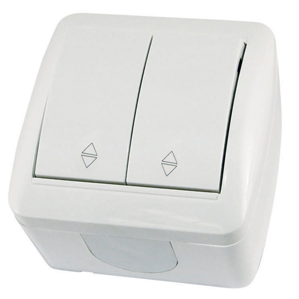 Переключатель двухклавишный TDM открытой установки Селигер 10А IP44 белый