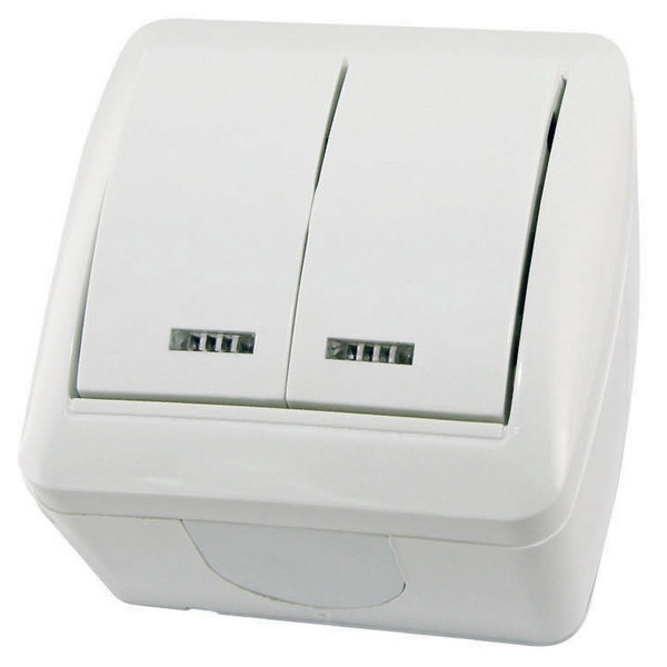 Выключатель двухклавишный TDM открытой установки Селигер с подсветкой 10А IP44 белый