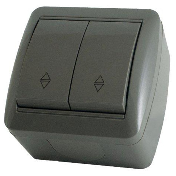Переключатель двухклавишный TDM открытой установки Селигер 10А IP44 серый