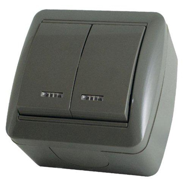 Выключатель двухклавишный TDM открытой установки Селигер с подсветкой 10А IP44 серый