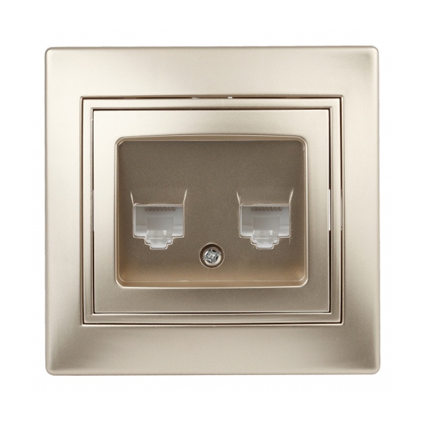 Розетка информационная Intro 2хRJ45 IP20 Plano, шампань 1-304-04