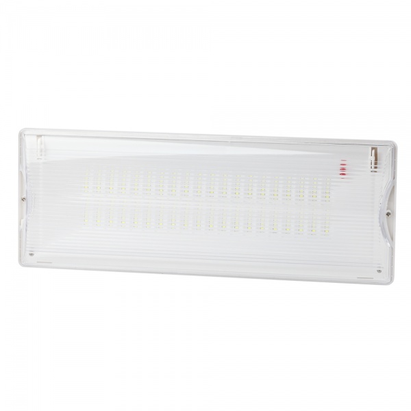 Светильник светодиодный аварийный ЭРА непостоянный DPA-301-0-65 40LED 3ч IP65