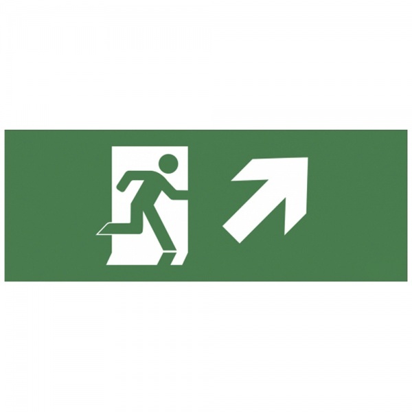 Самоклеящаяся этикетка ЭРА INFO-DBA-008 Фигура/стрелка вверх вправо 200х60мм DPA/DBA