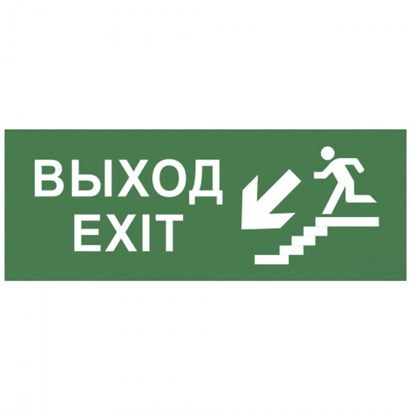 Самоклеящаяся этикетка ЭРА INFO-SSA-109 Выход/лестница вниз/фигура 350х130мм SSA-101/DPA-301