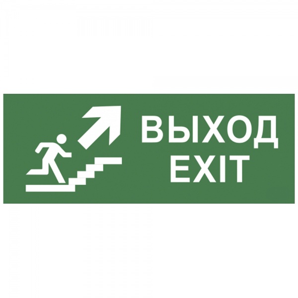 Самоклеящаяся этикетка ЭРА INFO-SSA-110 Выход/лестница вверх/фигура 350х130мм SSA-101/DPA-301