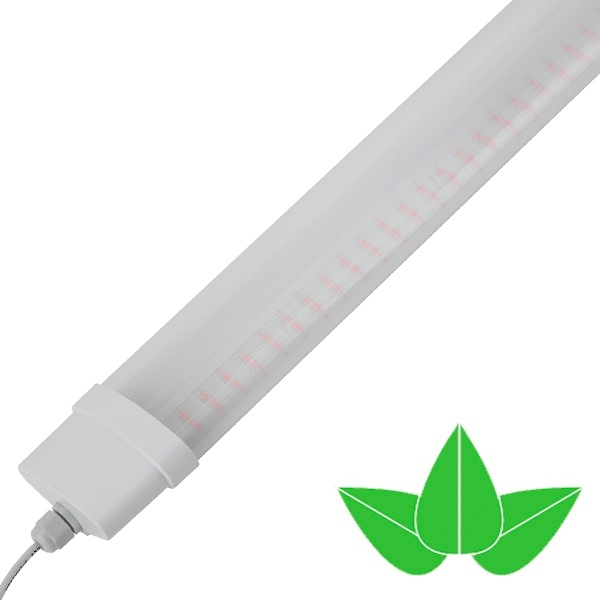 Светильник светодиодный для зелени и досветки комнатных цветов ЭРА FITO-36W-RB-N красно-син. спектра