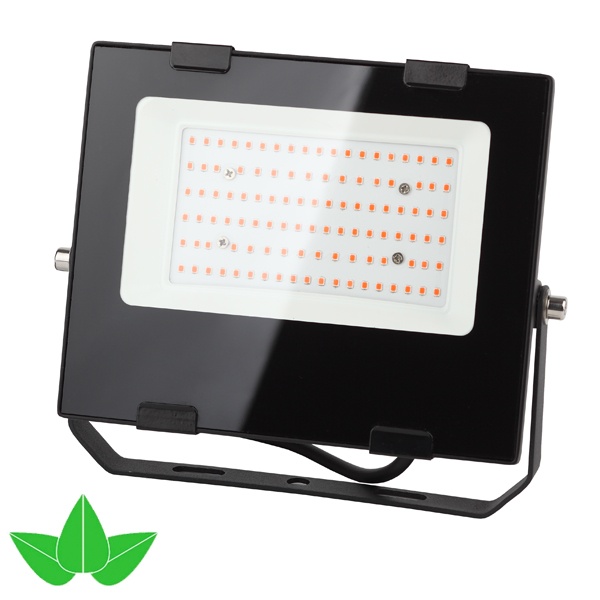 ФИТО светильник ЭРА FITO-50W-RB-LED прожектор красно-синего спектра 5056306087578