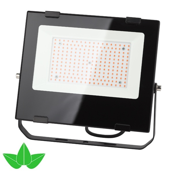 ФИТО светильник ЭРА FITO-100W-RB-LED прожектор красно-синего спектра 5056306087790