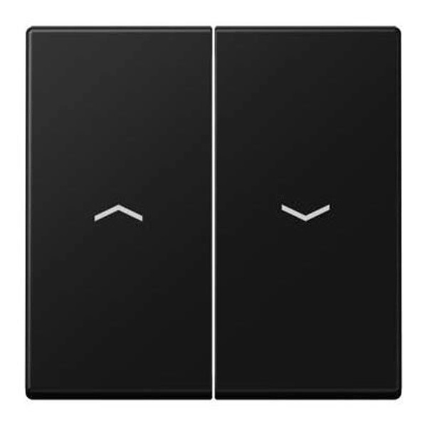 Клавиша 2-ая Jung A для жалюзийного выключателя/кнопок Черный матовый