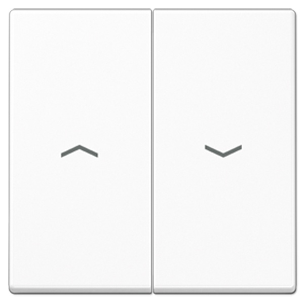 Клавиша 2-ая Jung A для жалюзийного выключателя/кнопок Белоснежный матовый