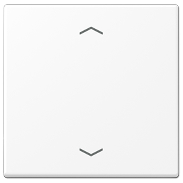 Клавиша Jung A для балансирных выключателей с символами Стрелки Белоснежный матовый