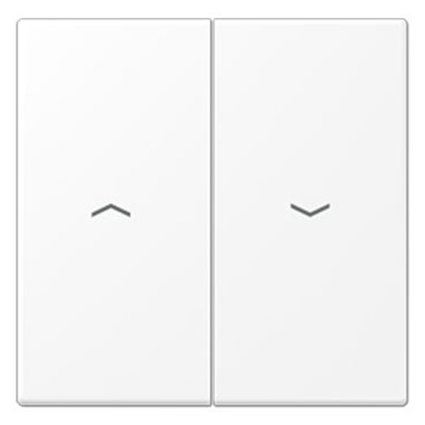 Клавиша 2-ая Jung LS для жалюзийного выключателя/кнопок Белоснежный матовый