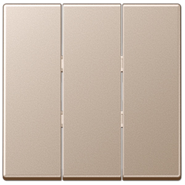 Клавиша Jung A для трехклавишного выключателя Шампань