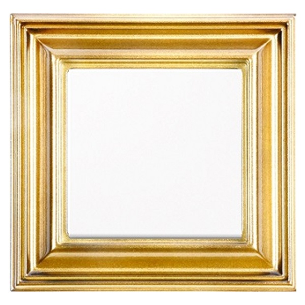Рамка 1-ая Jung ECO Profi для вертикальной и горизонтальной установки Deco Золото