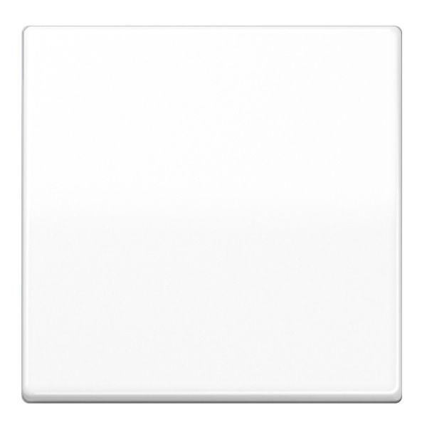 Центральная плата Jung AS 2 группы стандартная Белый