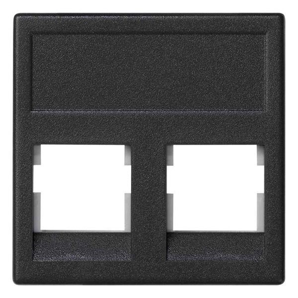 Адаптер на 2 конектора RJ45 SimonConnect, AMP(S110,SL110,SLt),Brand-Rex,RIT, 45х45мм, графит