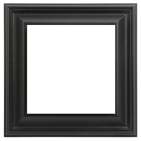 Рамка 1-ая Jung ECO Profi для вертикальной и горизонтальной установки Deco Черный матовый