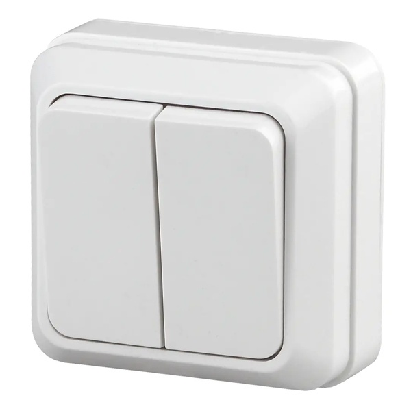 Накладной двухклавишный Intro Quadro 10А-250В IP20 белый 2-104-01 (5055945565805)