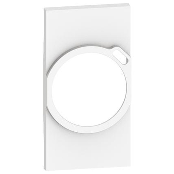 Лицевая панель для комбинированных розеток 2К+З/USB 2 модуля BTicino Living Now белый