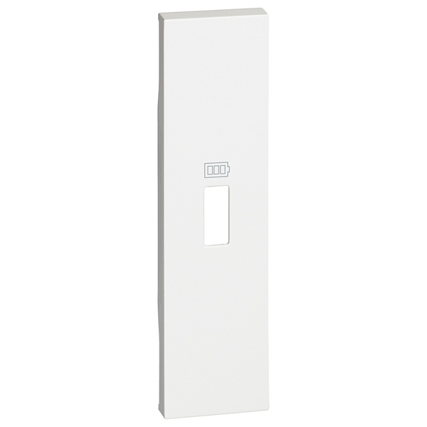 Лицевая панель для зарядных устройств USB 1 модуль BTicino Living Now белый