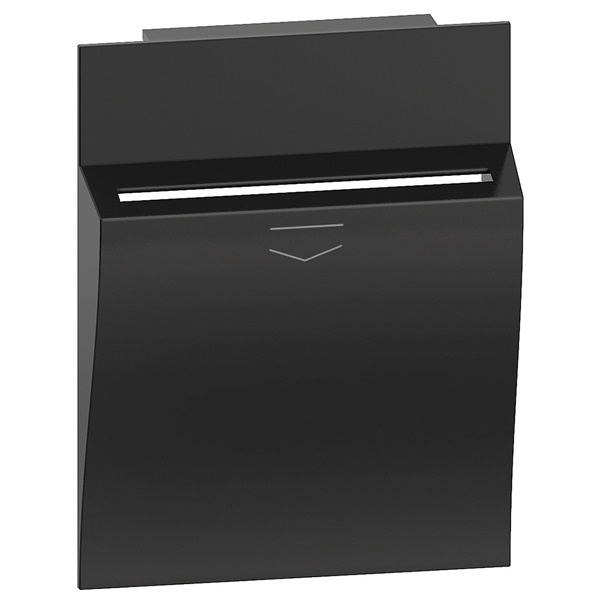 Лицевая панель для карточного выключателя К4549/К4548 2 модуля BTicino Living Now черный