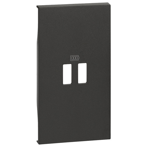 Лицевая панель для зарядных устройств USB 2 модуля BTicino Living Now черный