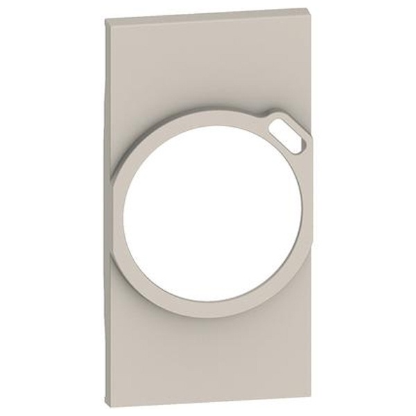 Лицевая панель для комбинированных розеток 2К+З/USB 2 модуля BTicino Living Now песочный